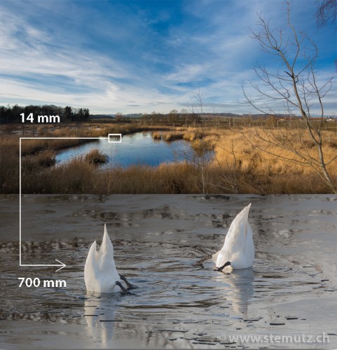 Get closer to your subject: 14 mm wide angle vs. 700 mm tele-objective