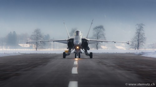 Face to Face with a Hornet @ WEF2013, LSMM Meiringen Airbase