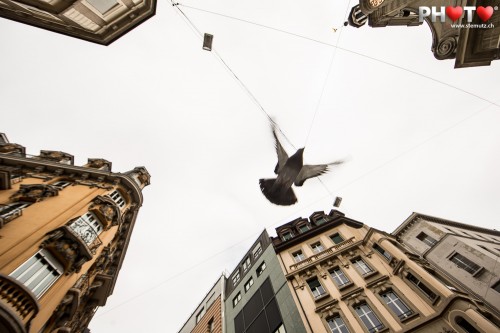 Pigeon Fly-Over between the Buildings ... Street Photography @ Lausanne City