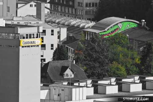 Two classics in Fribourg, Cardinal vs. Fri-Son, Fribourg, Suisse, 2011
