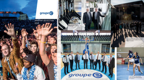 Rapport de Gestion / Jahresbericht 2014, Groupe E