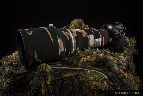 CANON EF 400mm F/2.8L IS II USM with LensCoat Wood Camo … 