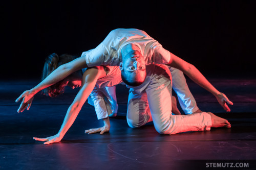 Contemporary Dance Event InciDanse 2013 in Fribourg